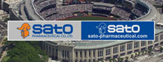 Yankee Stadium Back Net Billboard Advertisement