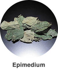 Epimedium