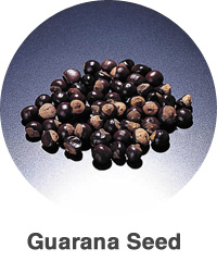 Guarana Seed