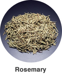 Rosemary
